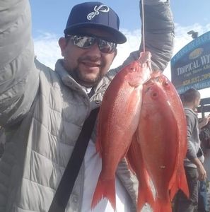 Meet your Posher, Zackary